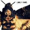 Cover Lonely Kamel - Death`s-Head Hawkmoth